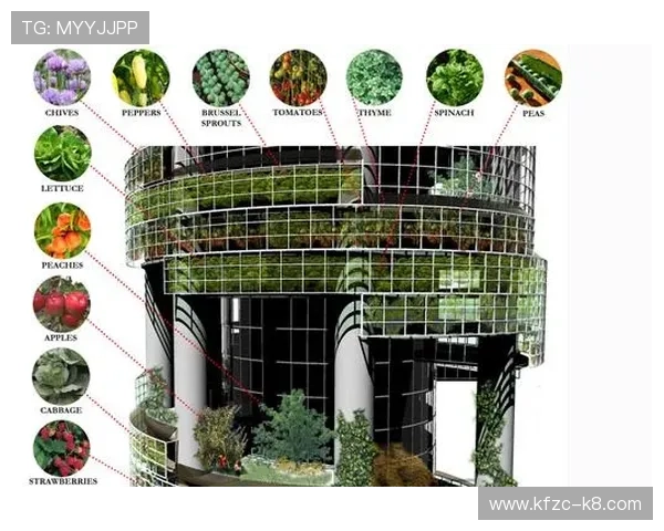 凯发直播中文站未来发展趋势及创新功能展望引领行业新方向