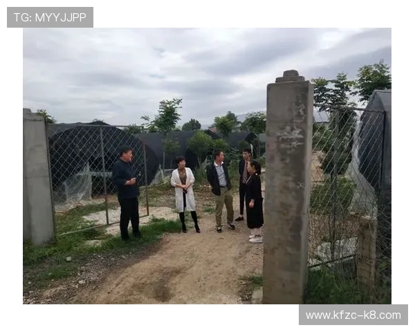 无需下载即可立即玩21点小游戏享受专业赌场级别的真实体验