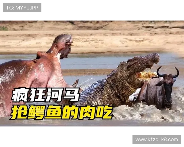血流成河：如何合理配置资源提升战斗力，实现血流成河的胜利目标